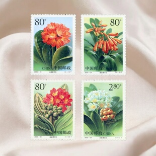 包邮2000-24君子兰邮票编年票全新全品收藏保真花卉套票中国邮政