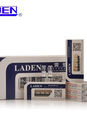 微孔过滤抛弃型Laden/雷登