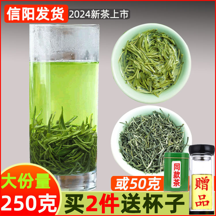 信阳毛尖2024雨前新茶浓香型250g