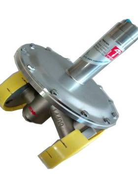 供应ZUERCHER氮气调压阀BR251.D06议价 维修！！！