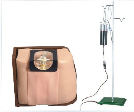 脊椎穿刺模型 腰椎穿刺模拟人 人体模型 硬膜外 腰穿 骨穿 模拟人