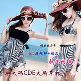 Coques pour soutien-gorge - Ref 821913 Image 22