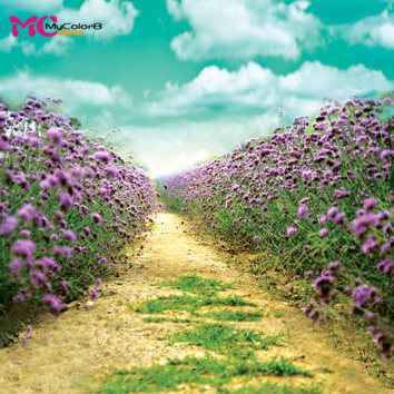 Studio Big picture Sell Wedding dress Photography Background theme Scenery source material picture 13-239in the Business affairs/Design Services, Design Services, Design Material/Source Files category - from Buy2taobao.com to provide professional Taobao agent buy service
