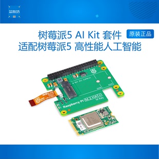 Kit人工智能套件Hailo8l PI5 13Tops算力 hat CM4 M.2 树莓派AI
