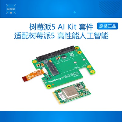 Hailo8l开发板树莓派CM4