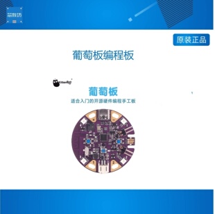 葡萄板编程板 新课标开源硬件入门教学 ESP32开发板 支持Scratch