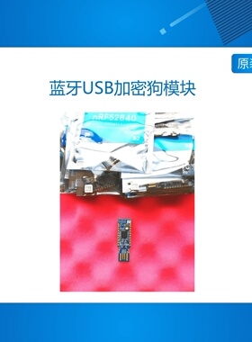nRF52840-Dongle Nordic USB Dongle PCA10059蓝牙USB加密狗模块