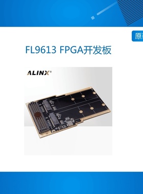 FL9613 FPGA开发板配套FMC 转 SSD NVME FH1402子板 转2路M.2接口