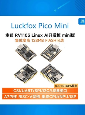 微雪 RV1103 Pico Mini Linux AI开发板 RISC-V架构128MB容量