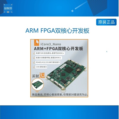 other/其他ARMFPGA双核心开