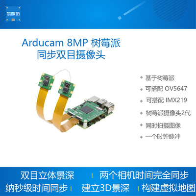 Arducam 8MP Stereo 树莓派 同步双目摄像头开发套件双目立体景深