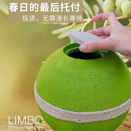 欧洲设计宠物骨灰盒绿色环保