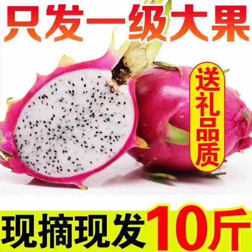 新鲜白心火龙果当季越南进口热带水果白肉火龙果10斤整箱包邮批发