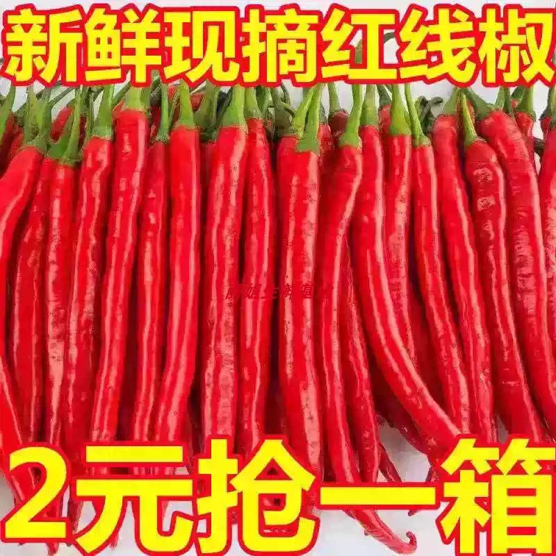 新鲜红椒现摘现发红线椒二荆条红辣椒中辣农家自种5斤3斤剁椒泡酱