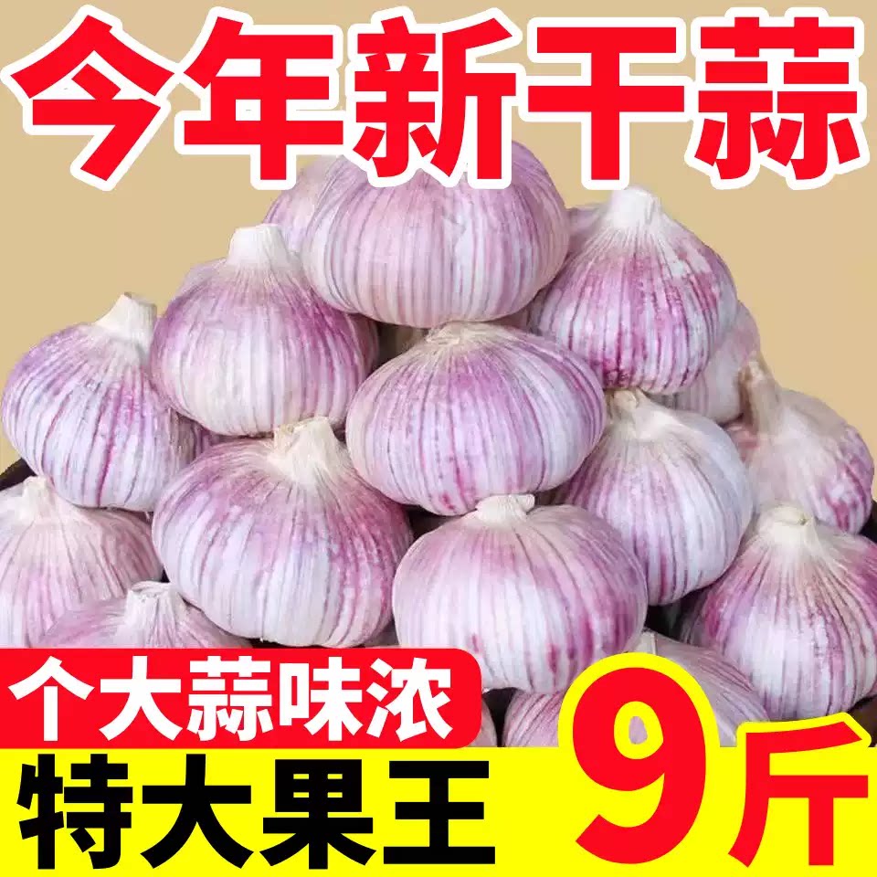 山东新紫干蒜9斤大蒜头农家新大蒜头干蒜5斤紫白皮大蒜当季蔬菜发