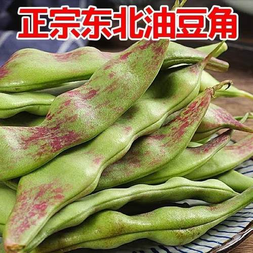 正宗东北油豆角新鲜蔬菜一点红九月青开锅烂农产品现摘现发包邮