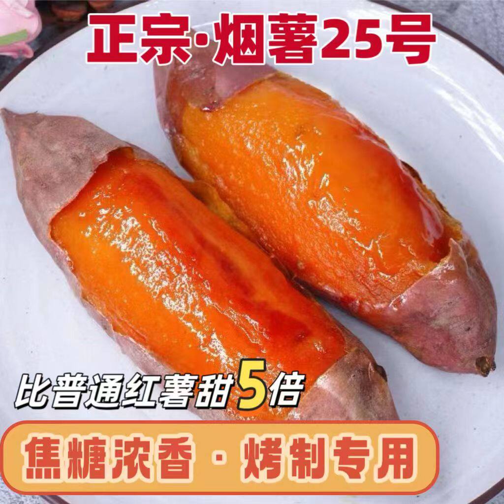 山东烟薯25蜜薯糖心红薯红心流油地瓜新鲜农家山芋烤番薯沙地蜜薯