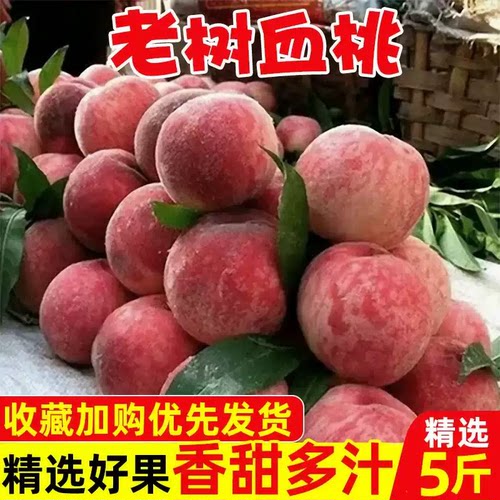 血桃5斤水果新鲜现摘现发红心桃子当季整箱毛桃脆桃应季水蜜桃子