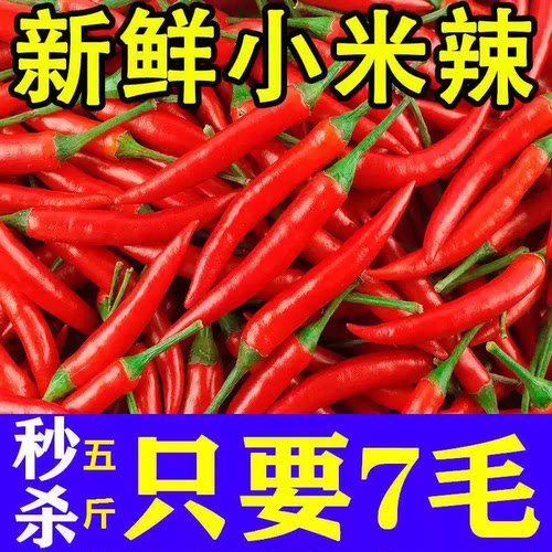 小米辣椒新鲜批发小米椒朝天椒特辣超辣薄皮土红辣椒指天椒5斤
