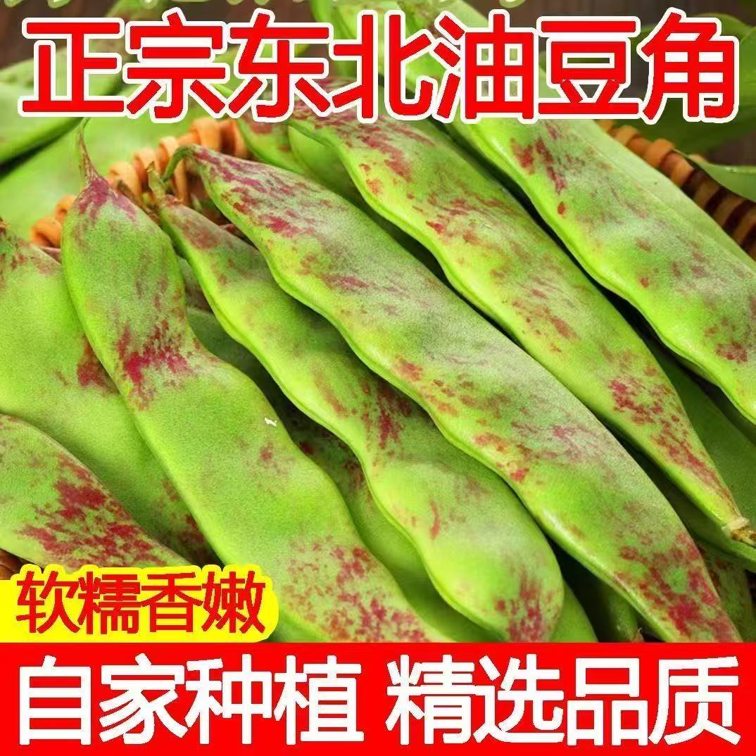 【东北产地直发】正宗油豆角现摘一点红豆角九月青大宽豆角开锅烂