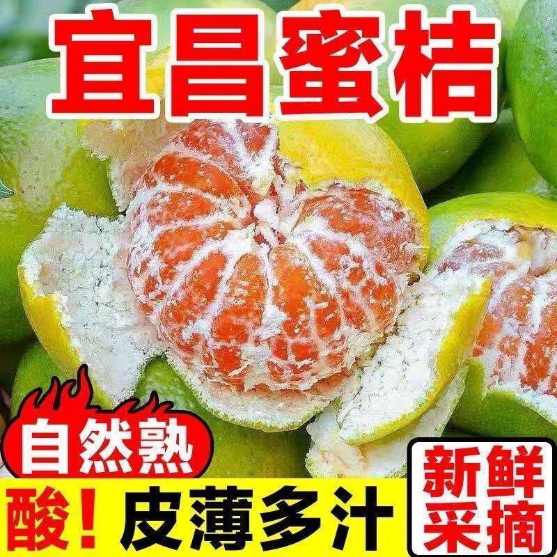 云南蜜桔新鲜水果9斤青皮蜜橘应季早熟橘子无籽桔子孕妇整箱包邮