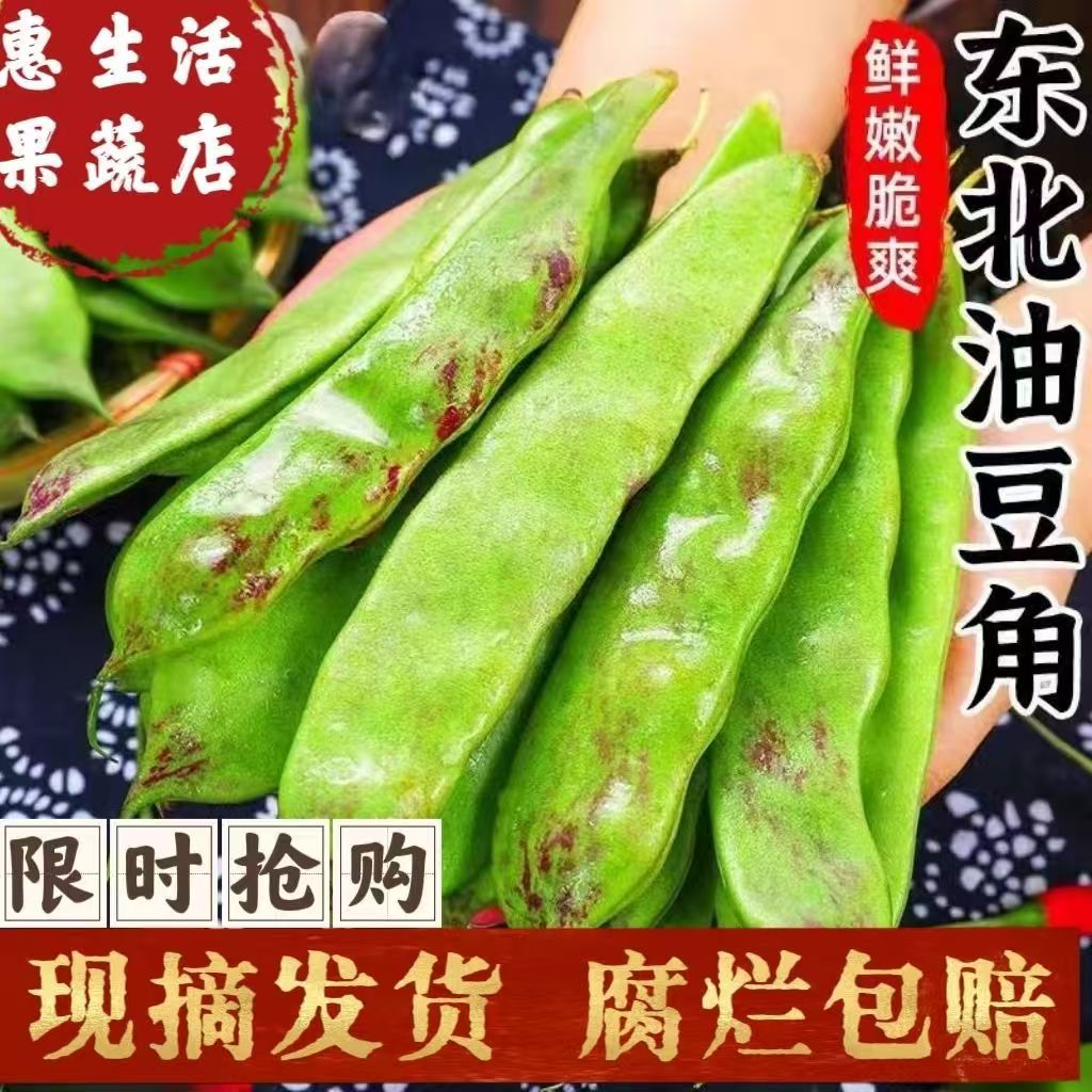 正宗东北一点红油豆角新鲜采摘产地直发纯油豆大油豆整箱批发价图片