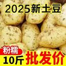2025新土豆正宗现挖黄皮土豆新鲜马铃薯洋芋当季 整箱农家便宜批发