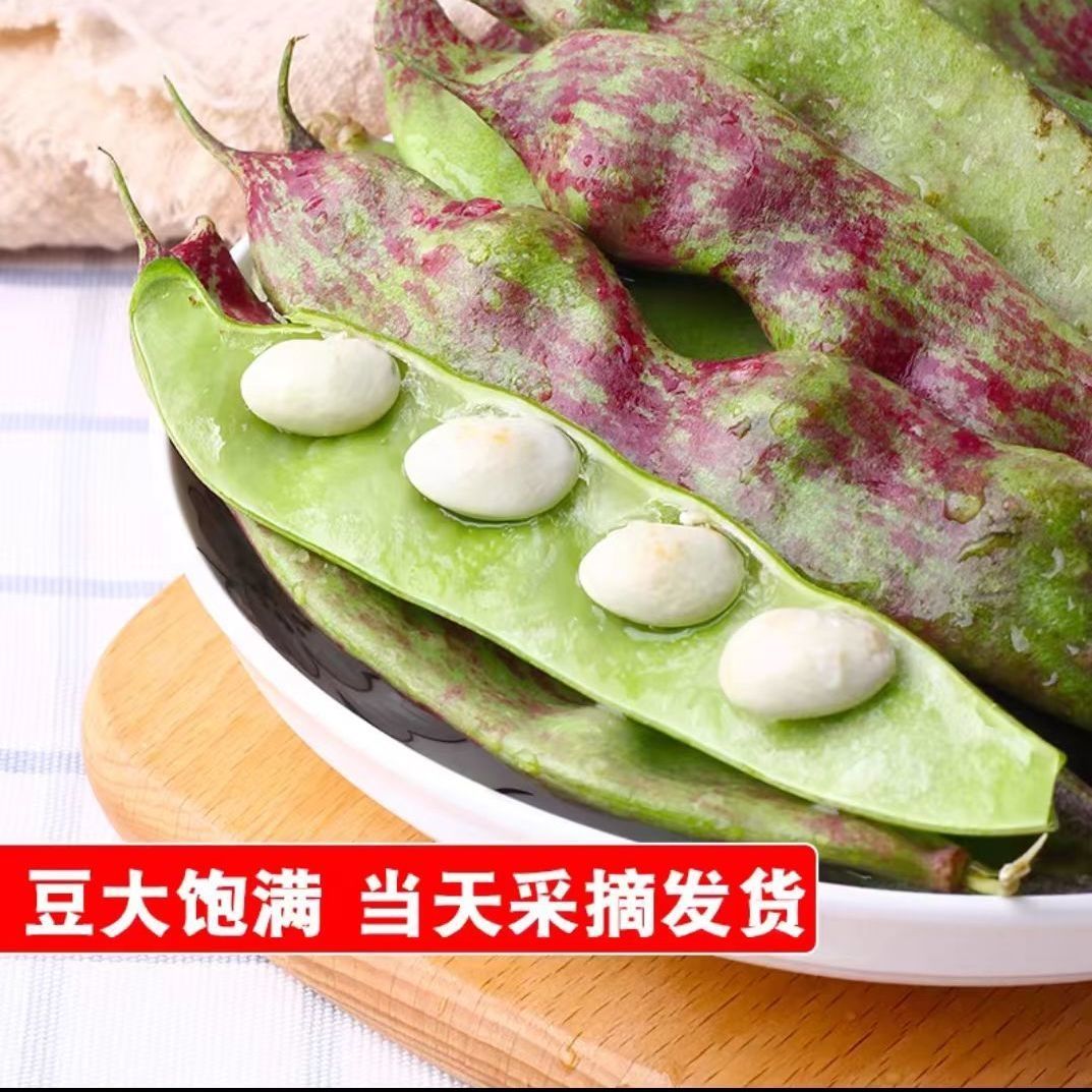正宗东北油豆角现摘嫩蔬菜