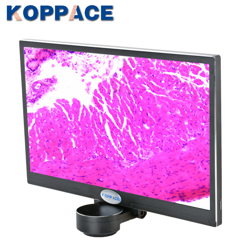 200万像素HDMI高清显微镜相机