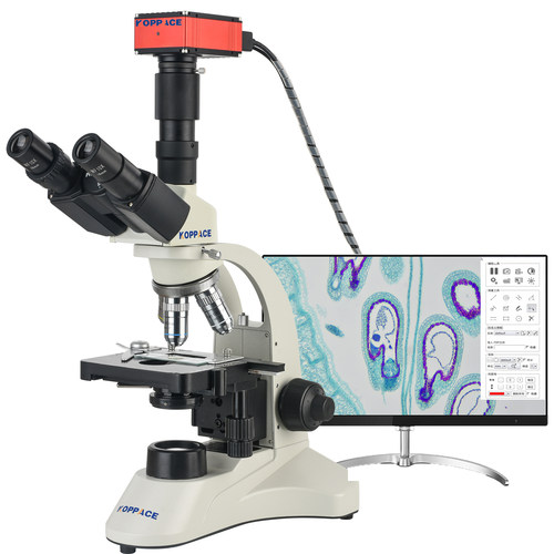 40X-1600X电子生物显微镜