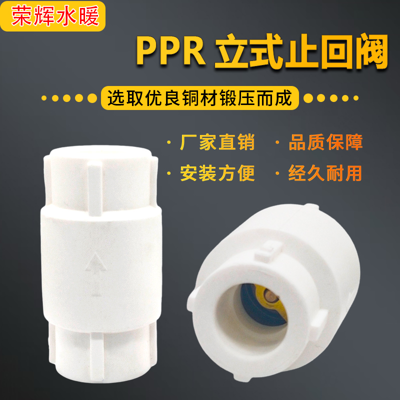 PPR立式止回阀单向阀25PP-R水管