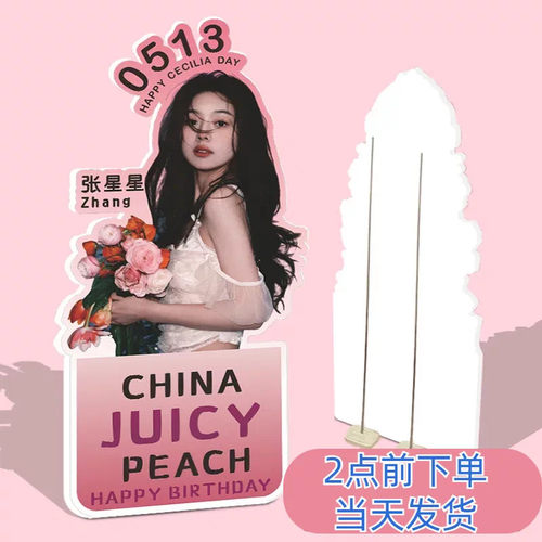 网红小红书生日立牌海报订制kt板闺蜜易拉宝定制生日横幅人形立牌