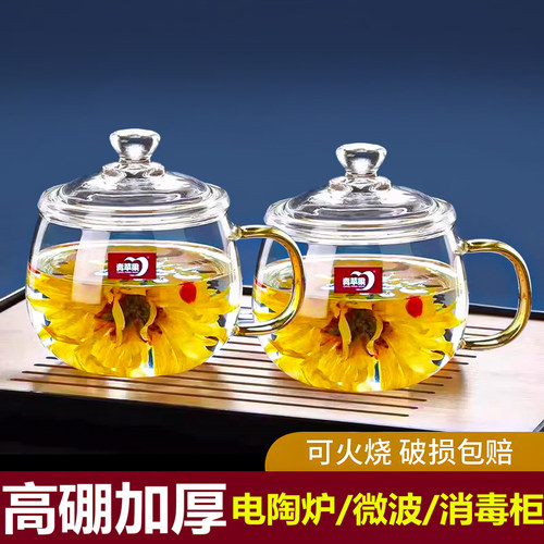 可加热高硼硅玻璃杯茶杯高颜值喝水杯子带盖男女养生花茶杯可加热