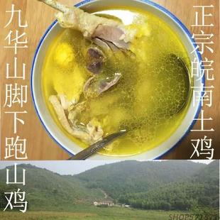 2只装顺丰包邮正宗本老母鸡安徽九华山山林放养土鸡散养草鸡炖汤