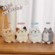 日本HAPiNS迷你小猫玩偶生日猫公仔娃娃毛绒猫咪送礼物猫可爱礼品
