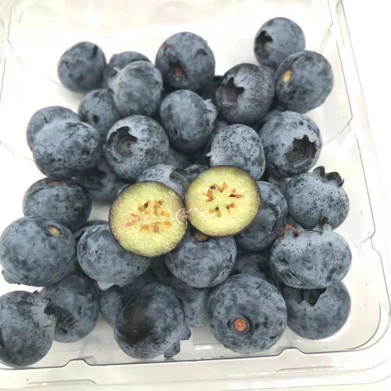 新鲜水果秘鲁进口蓝莓鲜浆果90元6盒顺丰包江浙沪皖(可散卖在类目 水产肉类/新鲜蔬果/熟食, 新鲜水果, 蓝莓中 - 来自Buy2taobao.com提供专业的淘宝代购服务