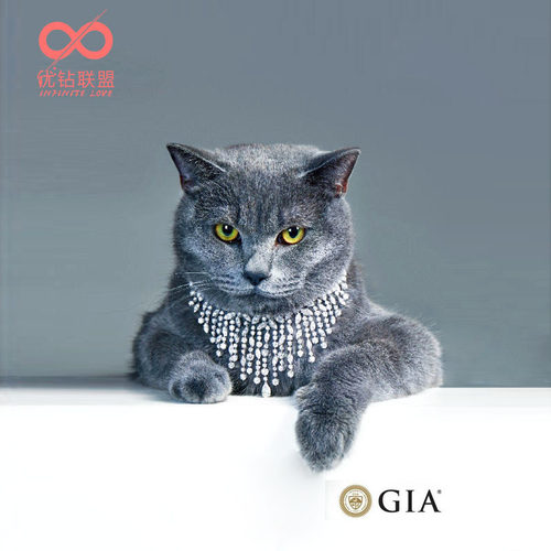 优钻联盟gia证书裸钻订婚钻戒
