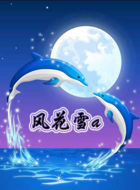 超清晰彩色十字绣重绘图纸/源文件 海豚星空 海豚之约231 245