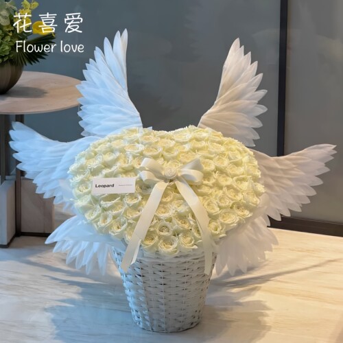diy天使之翼羽毛翅膀电动天使