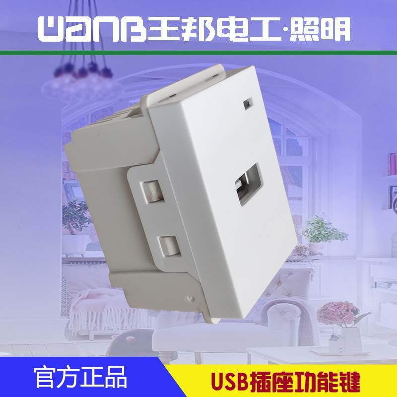 王邦开关插座(M5系列） 118开关插座经典白色 USB墙壁电源面板