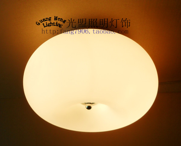 现代简约卧室阳台衣帽间led苹果吸顶灯磨砂玻璃造型灯 大号