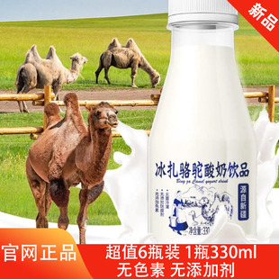 冰扎骆驼酸奶饮品原味330ml 酸奶骆驼奶美味冷罐酸甜口味 6瓶
