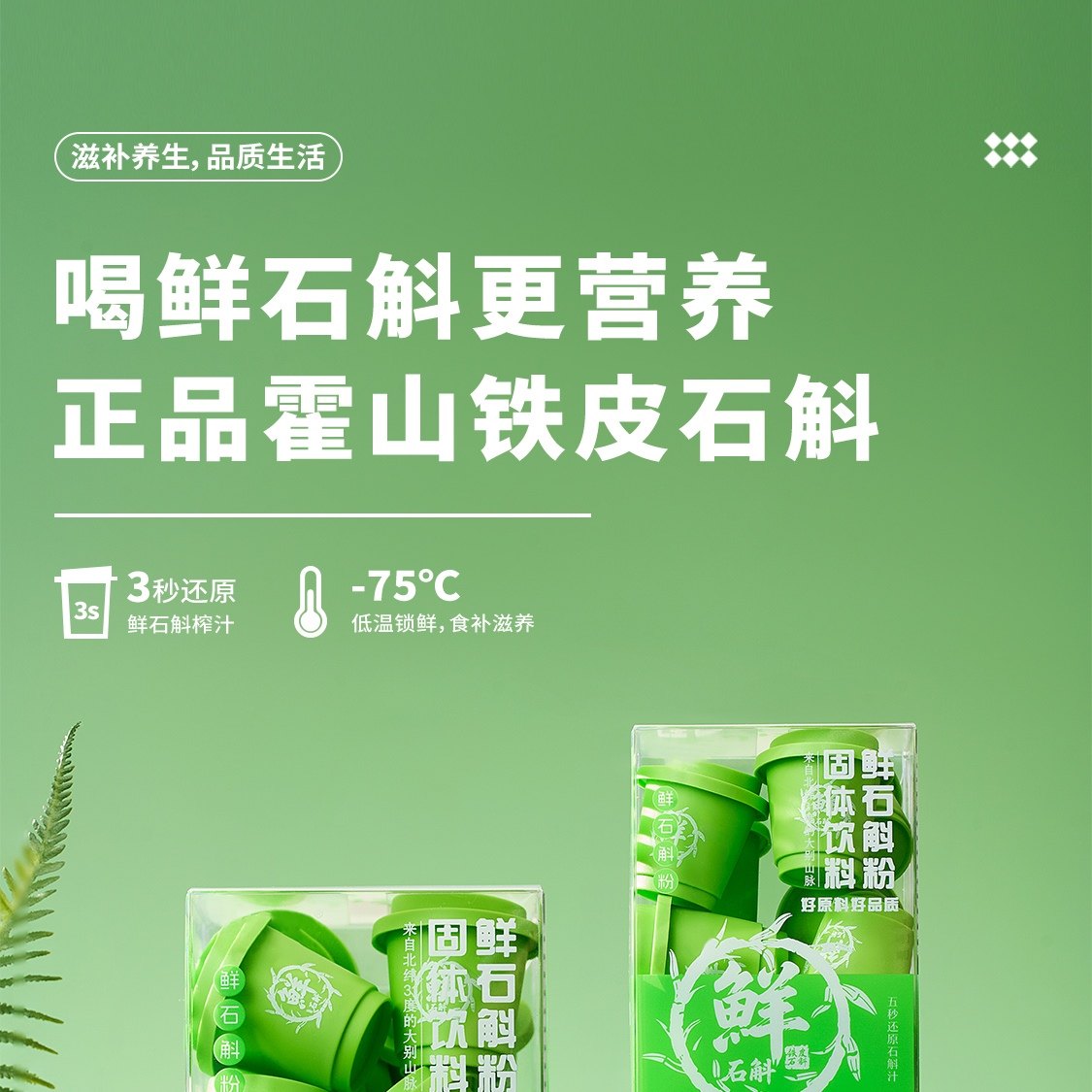 正宗霍山鲜铁皮石斛冻干粉 10g(1*10小盒)/盒