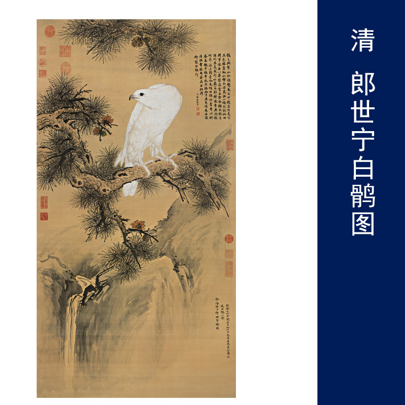 清 郎世宁白鹘图花鸟画装饰画芯心高清微喷打印宣纸复制画