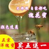 洋槐蜜正宗野生槐花蜜自家养土蜂蜜山花蜜百花蜜深山野生蜂蜜500g
