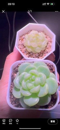 千金财富密码cf27黄金直播展示