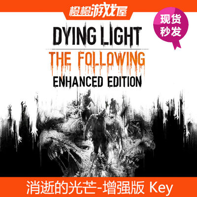 消逝的光芒增强版现货秒发