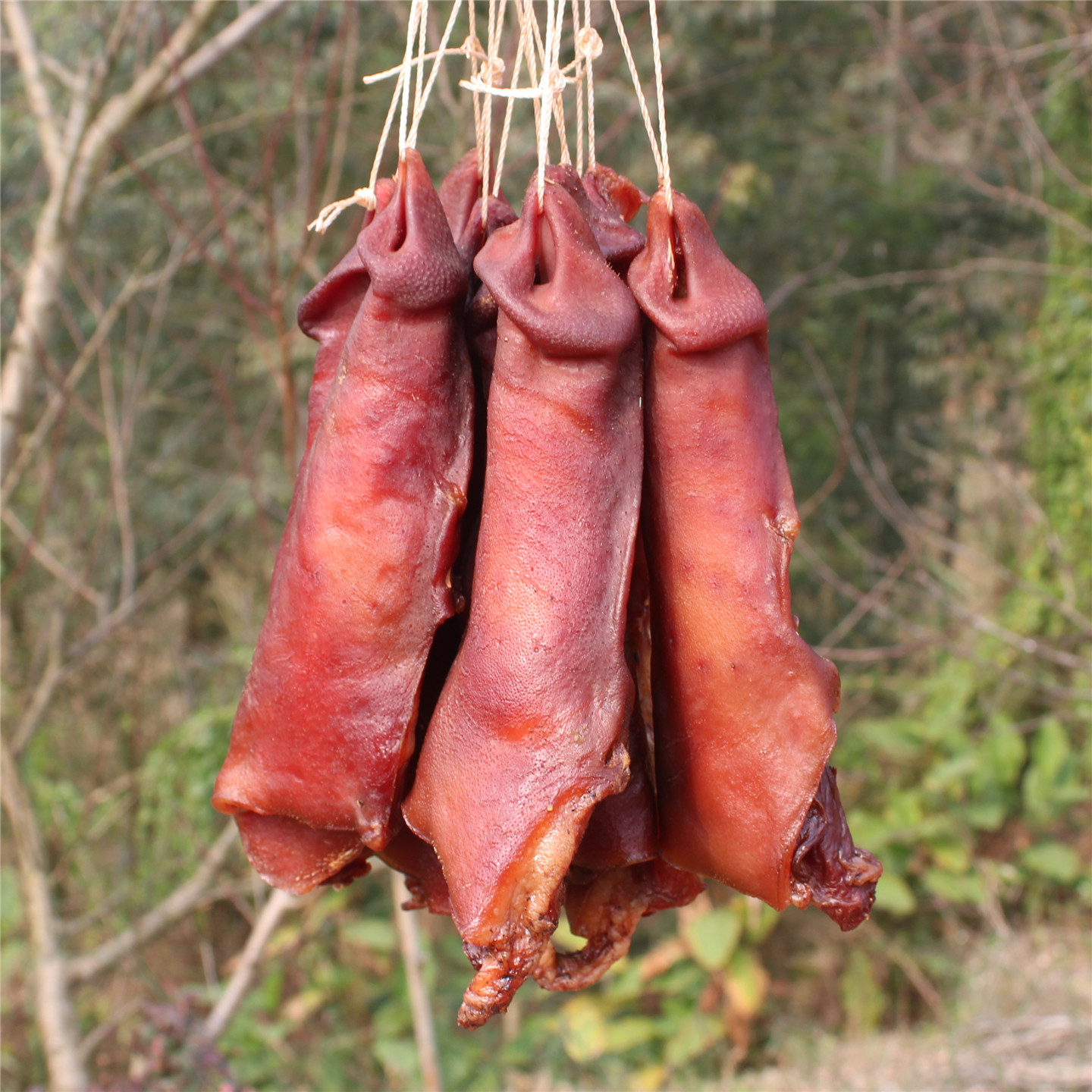 腊猪拱嘴烟熏猪头肉腊猪脸猪鼻子腊肉正宗四川自贡特产年货腊味咸