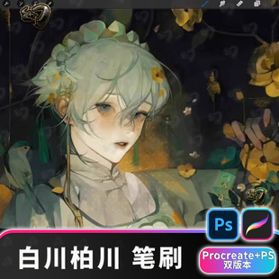 白川新款上市柏川绘画ps笔刷procreate刷素材板procrete绘画插画