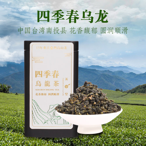 台湾高山乌龙茶四季春冷泡茶礼盒